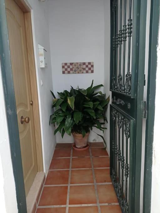 הוילה Alhaurín de la Torre Casa De La Ermita מראה חיצוני תמונה